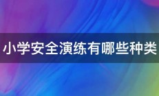 小学安全演练有哪些种类 