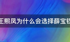 王熙凤为什么会选择薛宝钗 