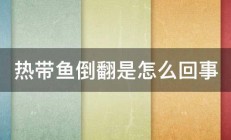 热带鱼倒翻是怎么回事 