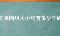 鸡的基因组大小约有多少个碱基 