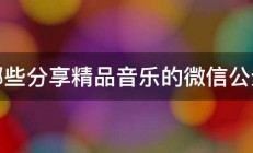 有哪些分享精品音乐的微信公众号 