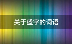 关于盛字的词语 