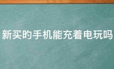 新买旳手机能充着电玩吗 