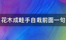 花木成畦手自栽前面一句 