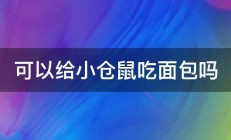 可以给小仓鼠吃面包吗 