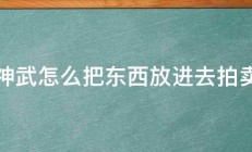 神武怎么把东西放进去拍卖 