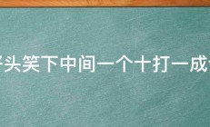 好头笑下中间一个十打一成语 