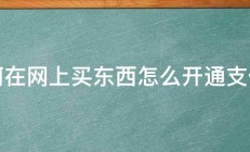 如何在网上买东西怎么开通支付宝 