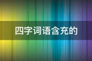 四字词语含充的 