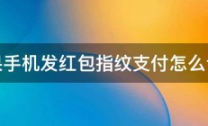 苹果手机发红包指纹支付怎么设置 