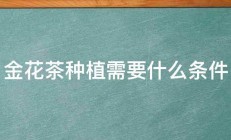 金花茶种植需要什么条件 