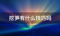 挖笋有什么技巧吗 