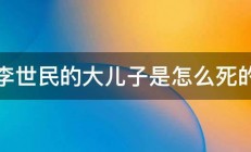 李世民的大儿子是怎么死的 