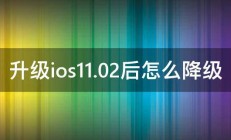 升级ios11.02后怎么降级 