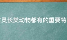 所有灵长类动物都有的重要特征是 