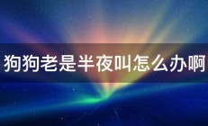 狗狗老是半夜叫怎么办啊 