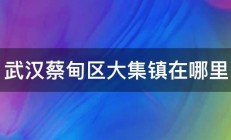 武汉蔡甸区大集镇在哪里 