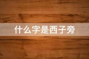 什么字是西子旁 