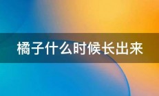 橘子什么时候长出来 