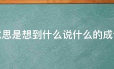 意思是想到什么说什么的成语 