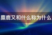 麋鹿又和什么称为什么 