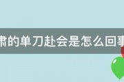 鲁肃的单刀赴会是怎么回事阿 