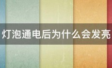 灯泡通电后为什么会发亮 