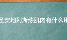 圣安地列斯练肌肉有什么用 