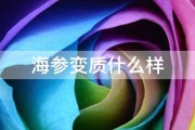 海参变质什么样 