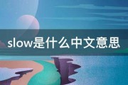 slow是什么中文意思 