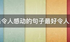 收集令人感动的句子最好令人深思 