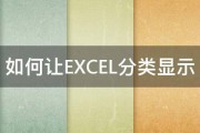 如何让EXCEL分类显示 