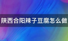 陕西合阳辣子豆腐怎么做 