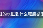 小鱼缸的水脏到什么程度必须换水 