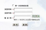 北京市税务局发票查询，全国增值税发票查验平台