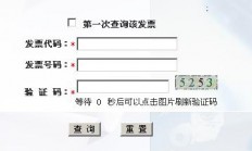 北京市税务局发票查询，全国增值税发票查验平台