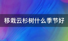 移栽云杉树什么季节好 