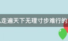 有礼走遍天下无理寸步难行的意思 