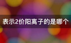 表示2价阳离子的是哪个 