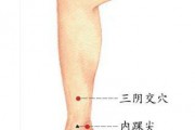 头晕难眠高血压 进补养阳先滋阴