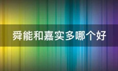 舜能和嘉实多哪个好 