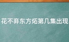 花不弃东方炻第几集出现 