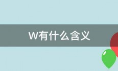 W有什么含义 