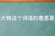 庞然大物这个词语的意思是什么 