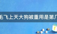 鸡毛飞上天大狗被重用是第几集 