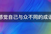 感觉自己与众不同的成语 