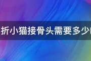 给骨折小猫接骨头需要多少RMB 