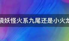 口袋妖怪火系九尾还是小火龙好 