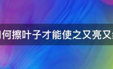 如何擦叶子才能使之又亮又绿 