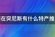 请问在突尼斯有什么特产推荐吗 